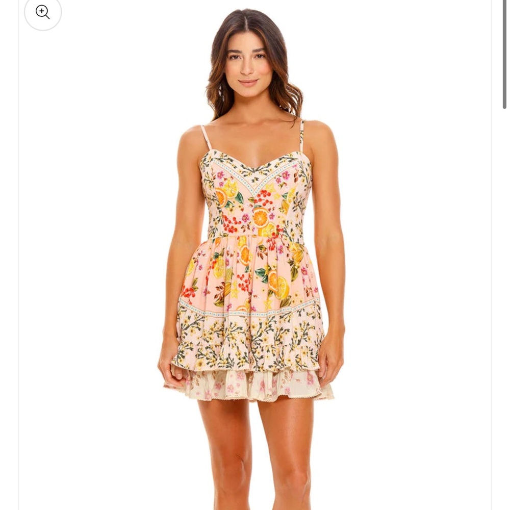NWT Agua Bendita Isadora Dress